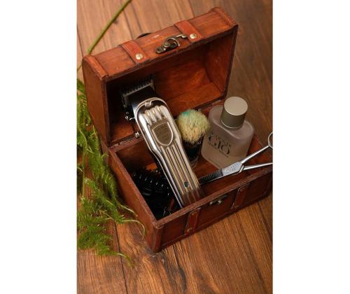 GA.MA CG Titanium, hõbedane - Juukselõikur