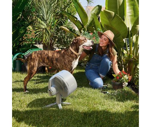 Shark FlexBreeze, valge - Kaasaskantav ventilaator