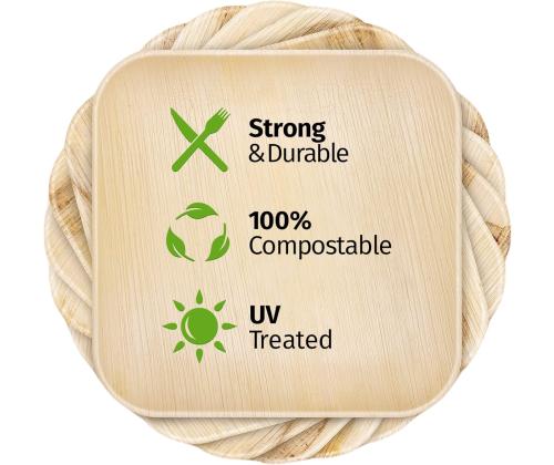 Taldrik ruudukujuline palmilehtedest VEGWARE pakis 25tk