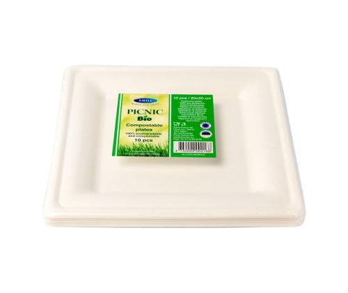 Taldrik suhruroost 20x20cm 10tk pakis biolagunev