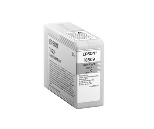 Tindikassett EPSON T850900 hele must (80ml)