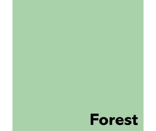 Värviline paber IMAGE Coloraction nr.65 pastelne roheline (Forest)