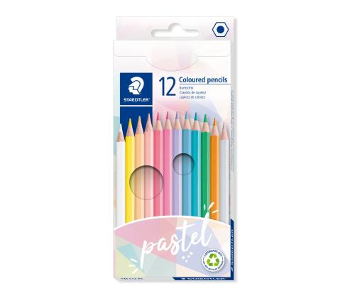 Värvipliiatsid STAEDTLER 146 pastelsed toonid 12 värvi