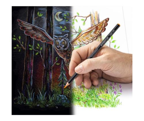 Värvipliiatsid STAEDTLER Soft 149C 12 värvi