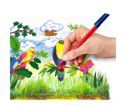 Viltpliiatsid STAEDTLER Noris 20 värvi