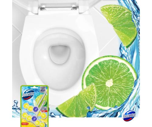 WC-värskendaja DOMESTOS Power 5 Lime 100g