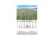 Seinakalender MONO eesti-inglise nr.22 2911050022