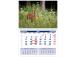 Seinakalender UNO, avatud mõõt 297x425mm (PILT nr. 7) 00320/40209