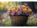 Seinakalender TRIO MEMO, avatud mõõt 297x630mm (PILT nr. 9) 00372/40321