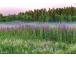 Seinakalender QUATTRO, avatud mõõt 297x760mm (PILT nr. 14) 00322/40502