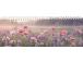 Lauakalender CLASSIC, kartongkaaned (PILT 2) 00308/41212