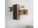 Olida - Walnut, Black