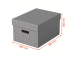Hoiukast kaanega Esselte Home Storage Box Medium (265x205x365mm)