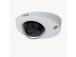 NET CAMERA P3925-R M12 1080P/01933-001 AXIS