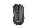 MOUSE USB OPTICAL WRL YBAR/GTX923 24888 TRUST