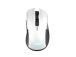 MOUSE USB OPTICAL WRL YBAR/GTX923W 24889 TRUST