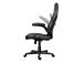 GAMING CHAIR GXT 703 RIYE/BLACK 25128 TRUST
