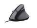 MOUSE USB OPTICAL BAYO II/ERGONOMIC BLACK 25144 TRUST