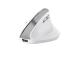 MOUSE USB OPTICAL WRL BAYO II/ERGO WHT 25398 TRUST
