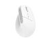 MOUSE USB OPTICAL WRL BAYO+/ERGONOMIC WHT 25399 TRUST