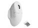 MOUSE USB OPTICAL WRL M7/WHITE M7-A3 KEYCHRON