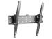 TV SET ACC WALL MOUNT 32-55"/WM-55T-02 GEMBIRD