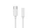 CABLE USB-C TO AUDIO 3.5MM/A-CM-3.5F-01 GEMBIRD
