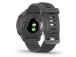SMARTWATCH FORERUNNER 55/GREY 010-02562-13 GARMIN