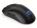 MOUSE USB OPTICAL WRL GEM PLUS/BLACK EY6A013 ENDORFY