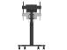MONITOR ACC FLOOR STAND 37-75"/FL50S-825BL1 NEOMOUNTS