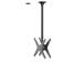 TV SET ACC CEILING MOUNT 32-75/FPMA-C340DBLACK NEOMOUNTS