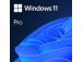 Software MICROSOFT Win 11 Pro 64Bit Eng Intl 1pk DSP OEI DVD Win Pro OEM English FQC-10528