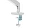 DISPLAY ACC MOUNTING ARM/17-32" WH MA-DA1-04-W GEMBIRD