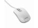 MOUSE USB OPTICAL WHITE/SILVER/MUS-4B-06-WS GEMBIRD