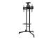 TV SET ACC FLOOR STAND BLACK/32-55" PLASMA-M1700E NEOMOUNTS