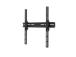 TV SET ACC WALL MOUNT/WL30-350BL14 NEOMOUNTS