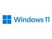 MS ESD Win Pro 11 64-bit