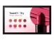SAMSUNG QB13C-T 13inch FullHD 16:9 Touch