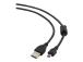 GEMBIRD CCF-USB2-AM5P-6 Gembird USB 2.0