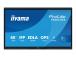 IIYAMA TE6515A-B1AG 65inch UHD IPS