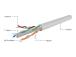 GEMBIRD UPC-6004SE-SOL/100 Gembird UTP s