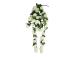 Kunstlill FLOWERLY rippuv oks H120cm, valge roos