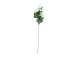 Kunstlill FLOWERLY H67cm valge "Mimosa"