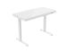 Töölaud ERGO FIT 1-mootoriga 122x62xH73,5-118cm, valge