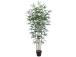 Kunstpuu BAMBOO, H150cm, 5 tüvega, must pott