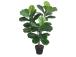 Kunstpuu FIDDLE LEAF, H100cm, 2 tüvega, must pott
