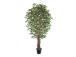 Kunstpuu WIND FICUS H210cm