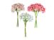 Kunstlill FLOWERLY H30cm lumeroos, mix