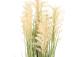 Kunsttaim IN GARDEN H87cm, beež sorgo, rohukõrred potis