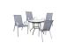 Aiamööblikomplekt DUBLIN laud ja 4 tooli, hall